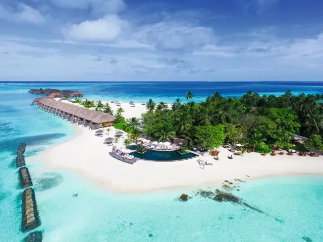 Constance Moofushi photo 1