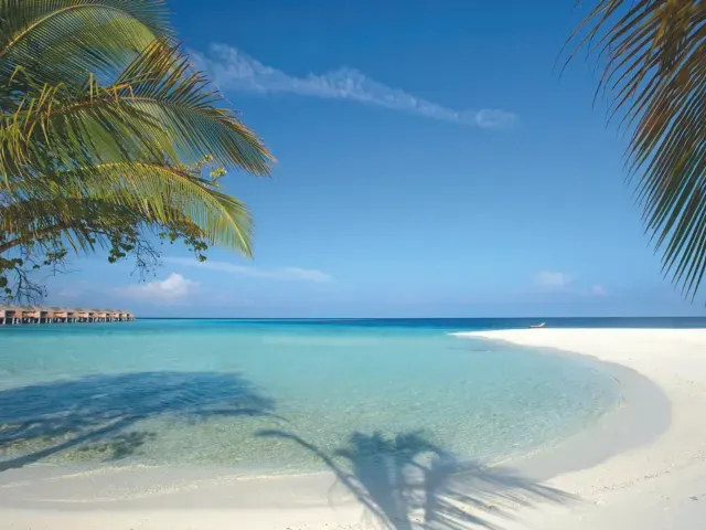 Constance Moofushi photo 3