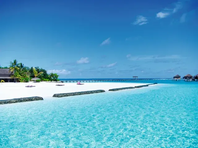 Constance Moofushi photo 8