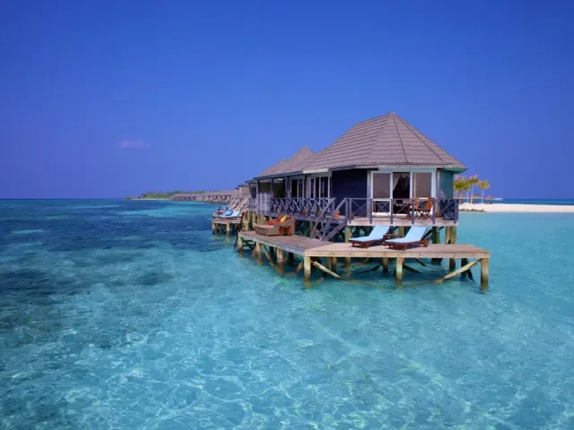 Kuredu Island Resort & Spa photo 7