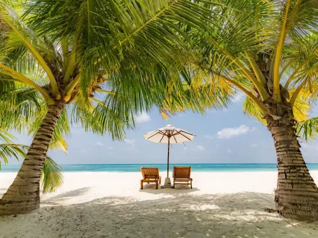 LUX* South Ari Atoll photo 9