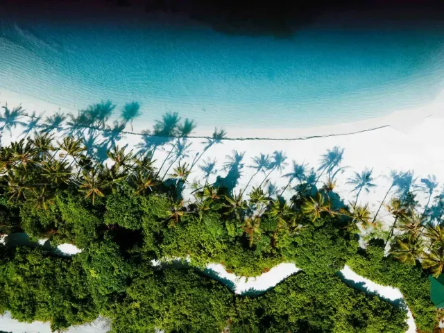 Siyam World photo 6