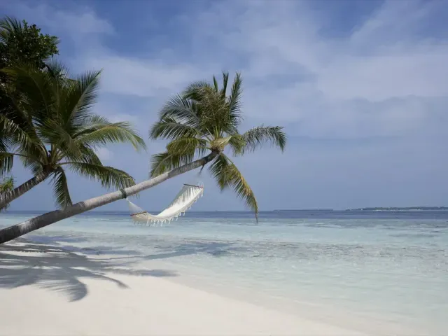 Vilamendhoo Island Resort & Spa photo 10