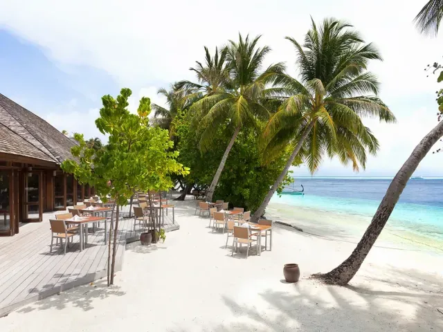 Vilamendhoo Island Resort & Spa photo 3