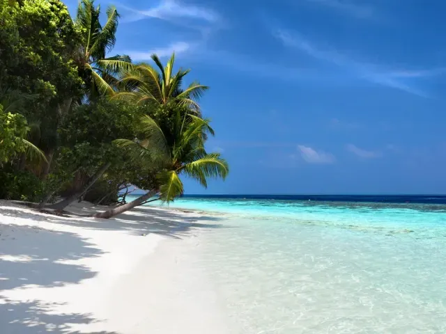 Vilamendhoo Island Resort & Spa photo 5