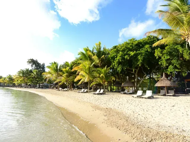 Ravenala Attitude Hotel photo 8