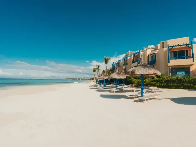 SALT of Palmar photo 4