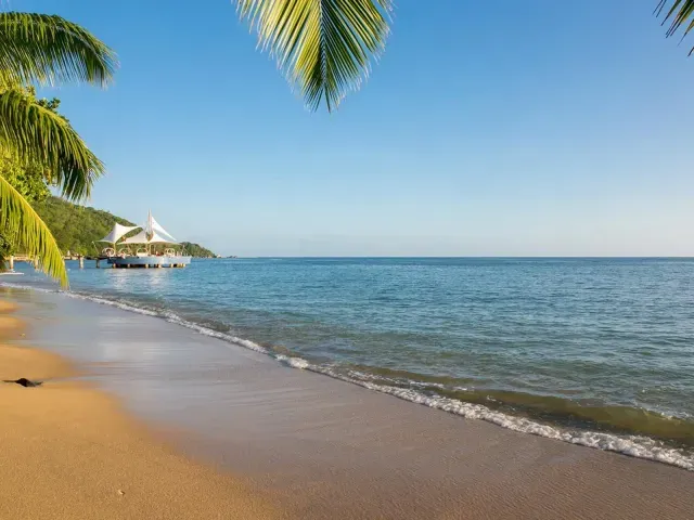 Coco de Mer Hotel & Black Parrot Suites photo 5