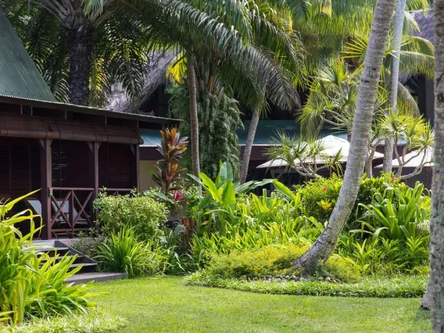 Paradise Sun photo 4