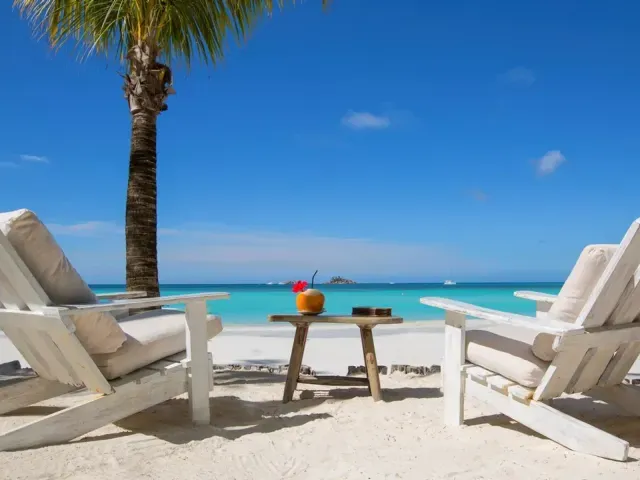 Paradise Sun photo 5