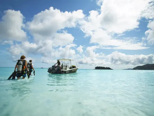 Paradise Sun photo 7