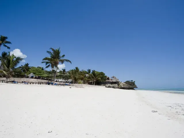 Karafuu Beach Resort & Spa photo 7